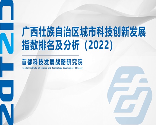 男人aV网址大全【成果发布】广西壮族自治区城市科技创新发展指数排名及分析（2022）